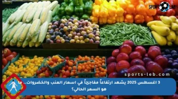 3 أغسطس 2025 يشهد ارتفاعاً مفاجئاً في أسعار العنب والخضروات.. ما هو السعر الحالي؟